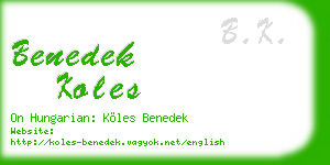 benedek koles business card